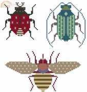 Birds of a Feather BOAF bee beetle bug