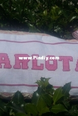 Almofada " Carlota "