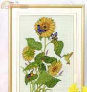 Pinn 17-L - Sunflower