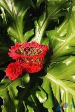 Flawless Crochet Flowers - Leticia Lebron  - Chrysanthemum Candy Bowl