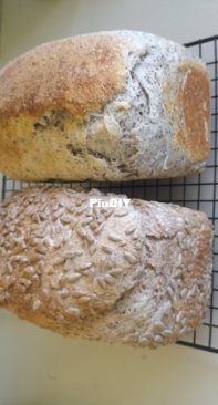 Bread