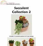 Succulent collection 2 by June Gilbank