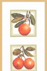 Zolotoe Runo FS-001 - Oranges