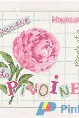 Lili Points J013 - La Pivoine