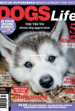 Dogs Life - January 08, 2018