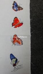 Butterflies