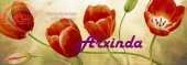Arxinda - Tulipanes