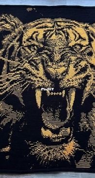 Crazy Crochet Cat Lady - Anke Wintermans - Ravishing Roar