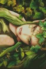 HAED HAEBAV 1269 Elf Hazel by Babette Vandenberg