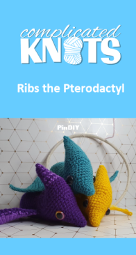 Complicated Knots - Kylie Slee - Ribs the Pterodactyl
