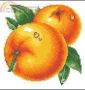 DOME 240404 ORANGE