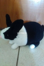 My dutch rabbit finished