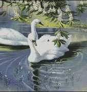 Art Goblen - Swans by S Nedelchera