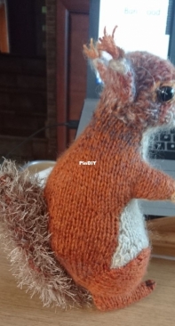 Red Squirrel