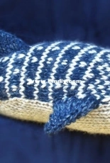 Whale Shark by Rachel Borello Carroll