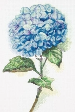 Panna C-1988 - Blue Hydrangea XSD