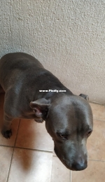 Luna naughty