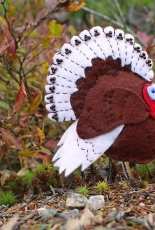 Downeast Thunder Farm - Turkey  Free