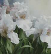 I Love CrossStitch IL-013 White Iris Elegance I