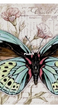 Chimera - Butterfly Vintage 13 by Jane Shasky PCS