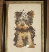 Yorkie