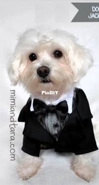 Mimi and Tara - Dog Tuxedo Jacket and Vest - Size L
