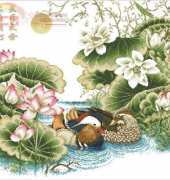 PINN LE-57M Romantic Mandarin Duck