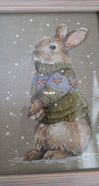 The Rabbit