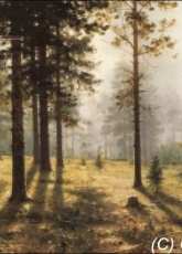 Golden Kite GK 1572 - Fog in the Woods (small)