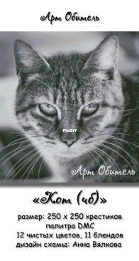 Art residence - Cat b/w by Anna Vyalkova