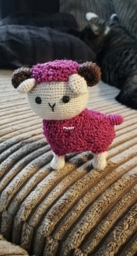 Pink sheep