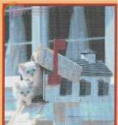 Mystic Stitch CAT-19 In the mail