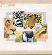Vervaco CR 1109017 The Eyes have it Africa XSD