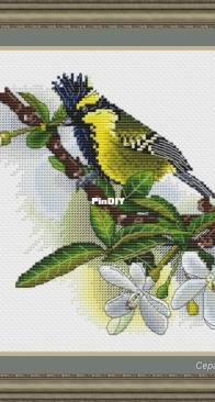 Indian Tit on Raitia by Serafima Abramova