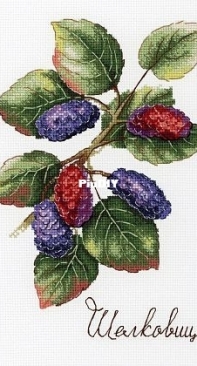 M.P. Studio - NV-770 - Mulberry
