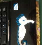 Little Seahorse