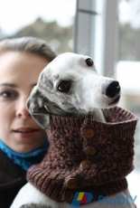 Buttons Cowl by Tanis Lavallee/Tanis Fiber Arts-Free