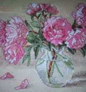 dimension peonies in vase