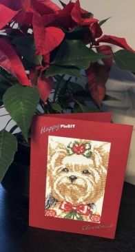 xmas card yorkie