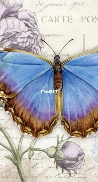 Chimera - Butterfly Vintage 2 by Jane Shasky XSD