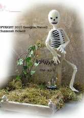 Bonaparte the Skeleton by Georgina Manvell
