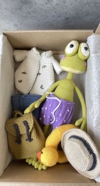 Frog with clothes