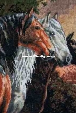 Equine Trio