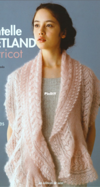Dentelle Shetland au Tricot - Toshiyuki Shimada 2017 - French