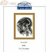 Megat 423 Jesus