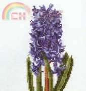 Thea Gouverneur 3083 Hyacinth