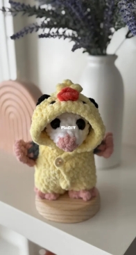 Flor de Papa - arimerlg - Ari Mer - Mini Opossum in Pajamas - Mini Tlacuache con Pijama -  Spanish