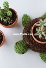 Knot Bad Ami - Vincent Green Hite - World Turtle Succulent Holder - Free