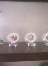 grape and wine coasters