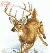 RTO M331 Forest Deer  XSD